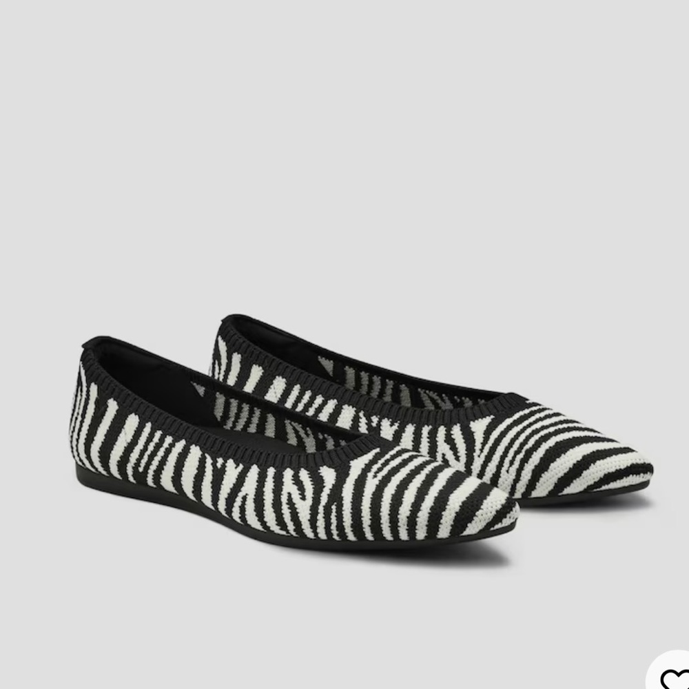 Vivaia Pointed-Toe Ballet Flats size 6 worn once